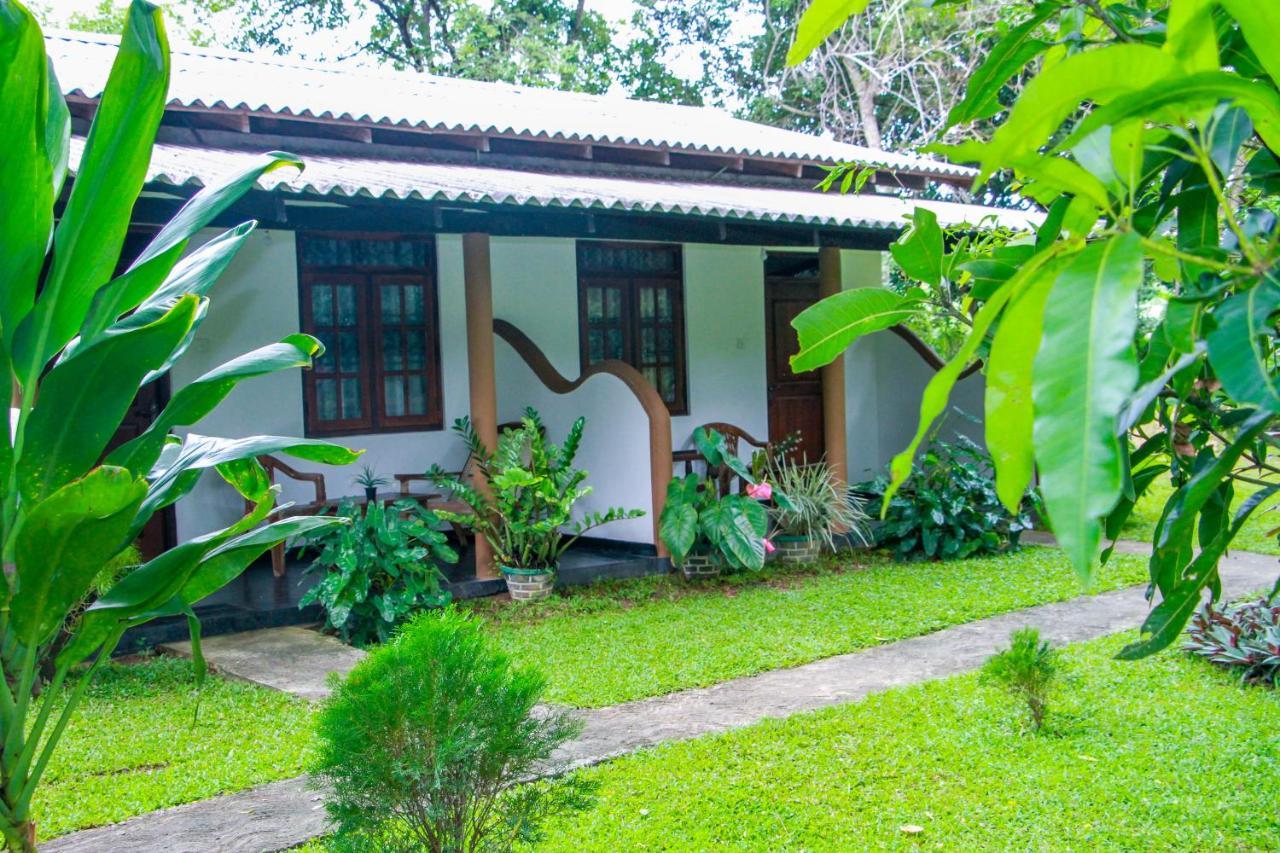 Nimsara Lodge Sigiriya Exterior photo