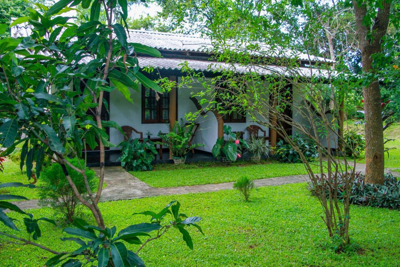 Nimsara Lodge Sigiriya Exterior photo