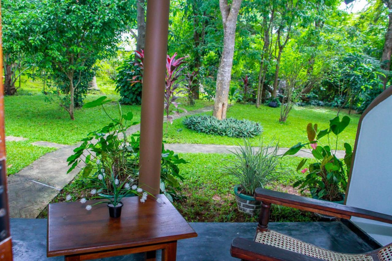 Nimsara Lodge Sigiriya Exterior photo